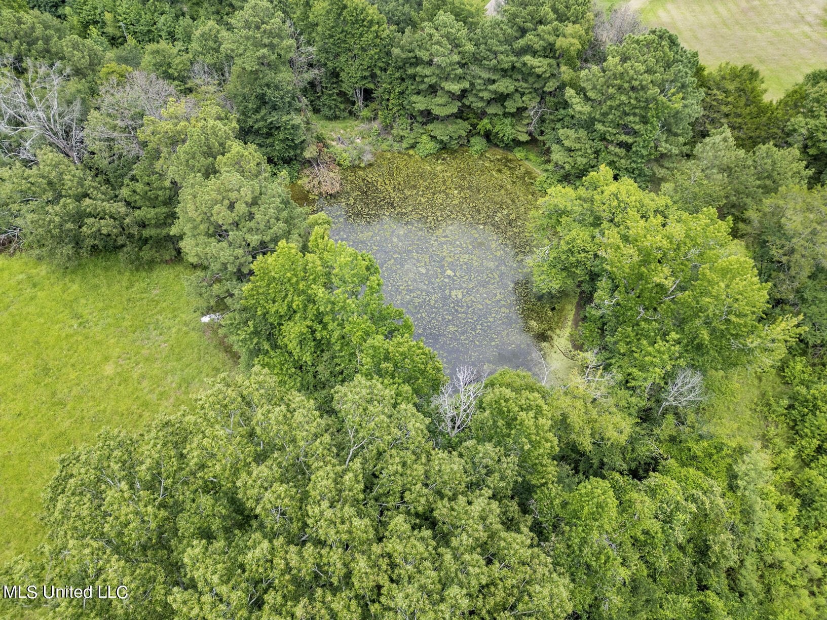 1303 Big Creek Road Raymond, MS 39154 - Photo 39 of 46 1303 Big Creek Drone final-8