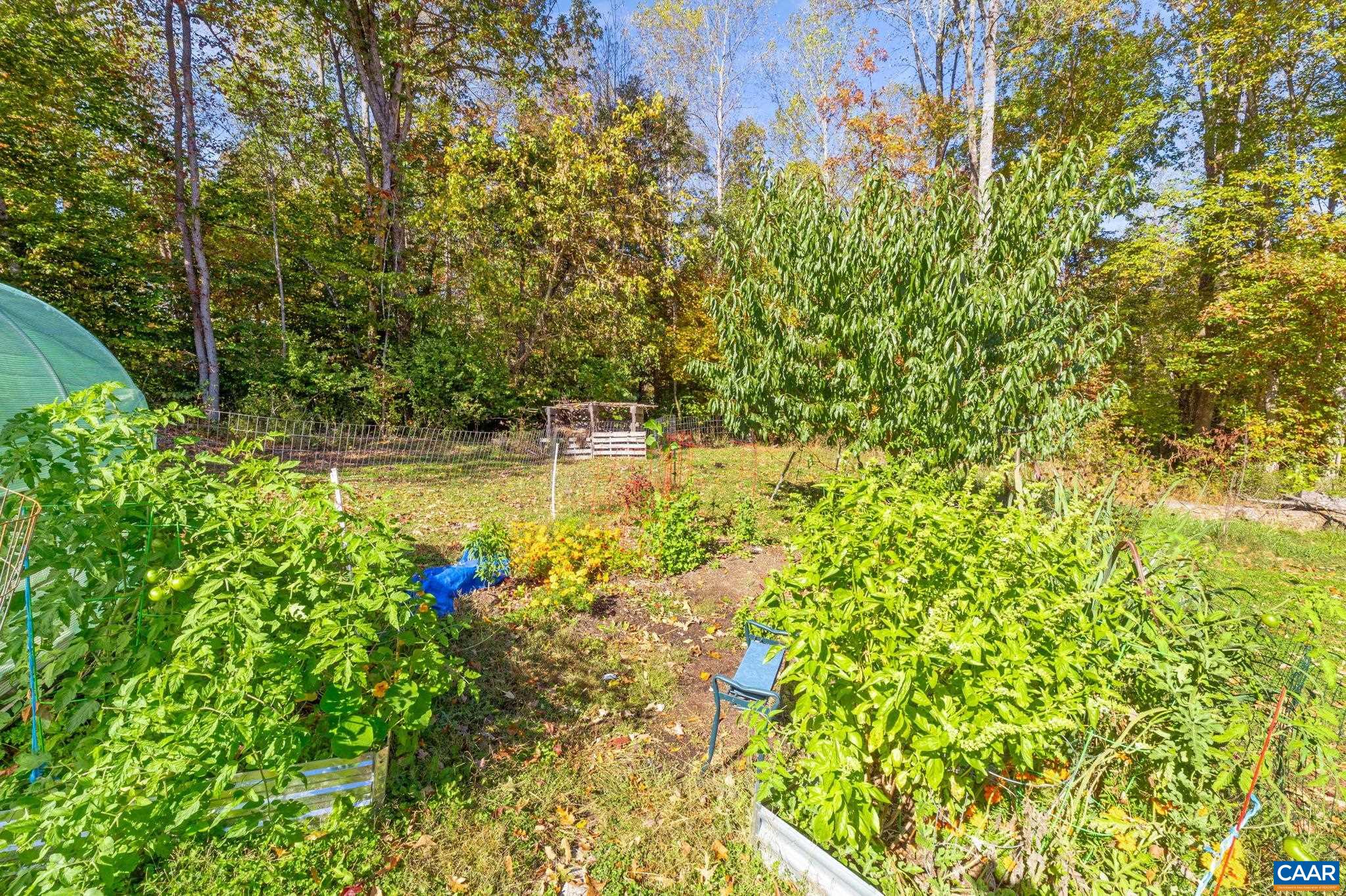 874 James River Road Scottsville, VA 24590 - Photo 35 of 43 a view of a lake with large trees