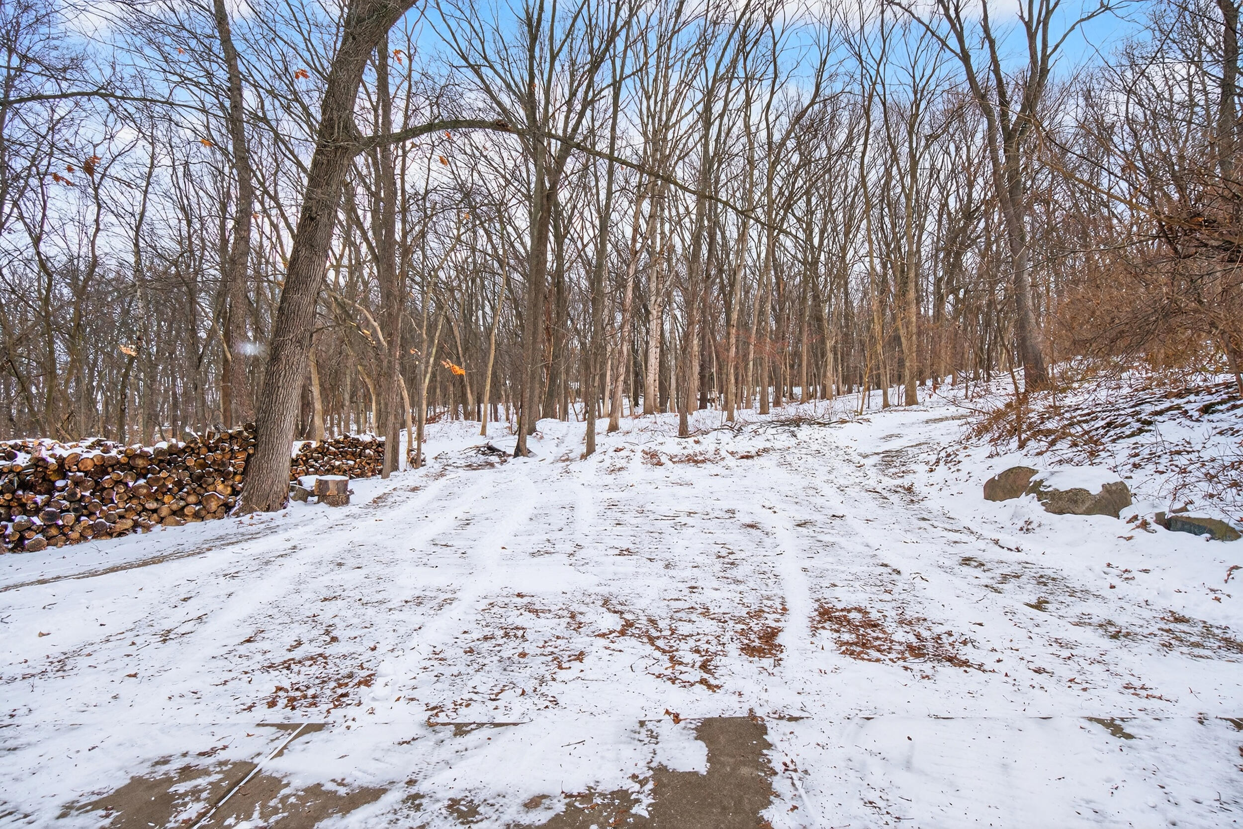 2415 Scott Road Parma, MI 49269 - Photo 49 of 52 2415 scott rd parma mi - 00050