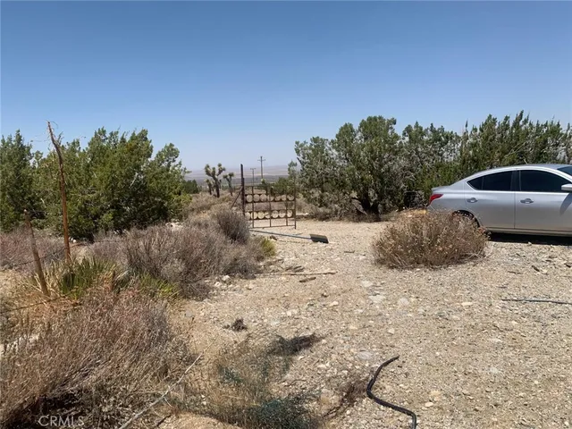 a view of a dry yard with trees
