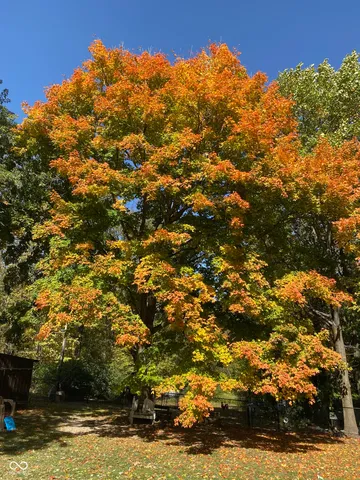 $325,000 | 5808 East County Road 150 North, Avon, IN 46123