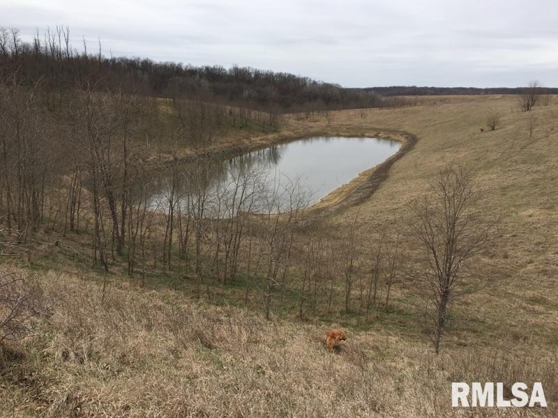 0 Freeman Mine Road Plymouth, IL 62367 - Photo 1 of 3