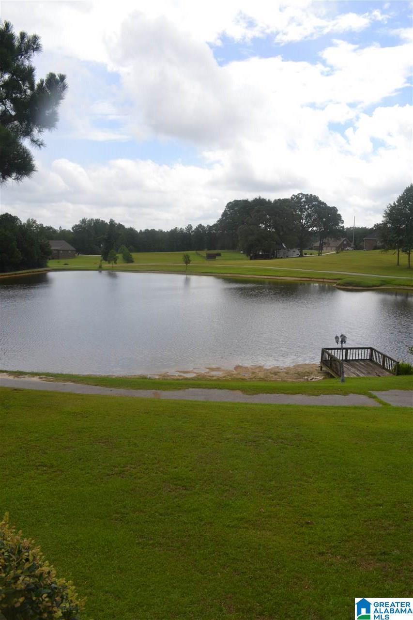 40 County Road 862 Clanton, AL 35045 - Photo 27 of 27