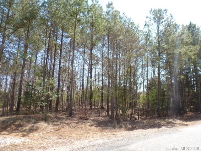 0 Longville Post Road Kershaw, SC 29067 - Photo 2 of 5 Gallery Image 2