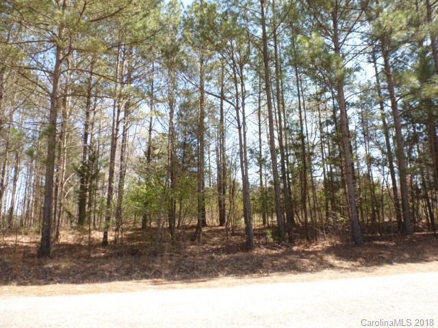 0 Longville Post Road Kershaw, SC 29067 - Photo 4 of 5 Gallery Image 4