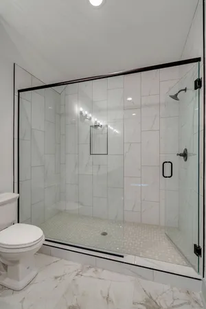 a bathroom with a shower and a toilet