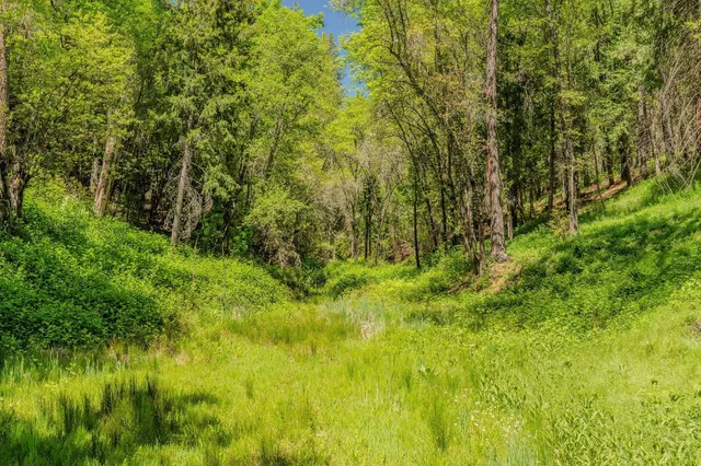 $579,000 | 201 Barney Way, West Point, CA 95255