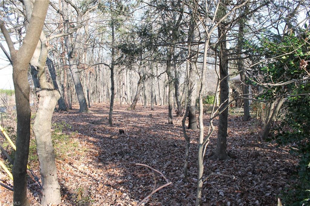 180 Eldora Road Ararat, NC 27007 - Photo 6 of 34 Gallery Image 6