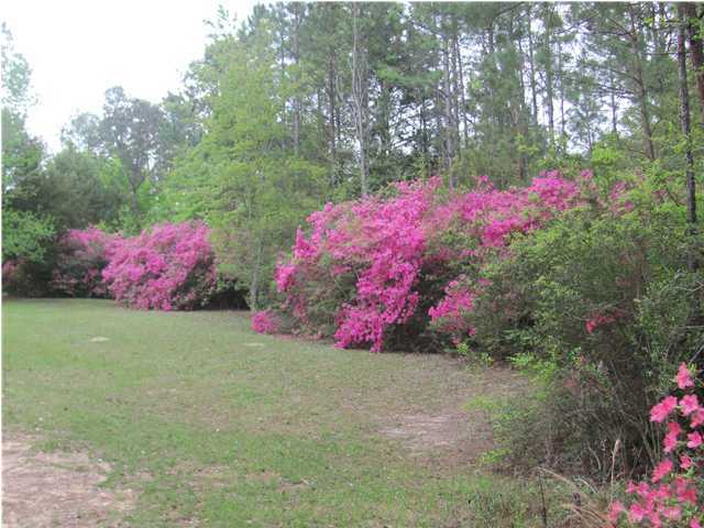 3556 Bob Sikes Road DeFuniak Springs, FL 32435 - Photo 3 of 9 Gallery Image 3