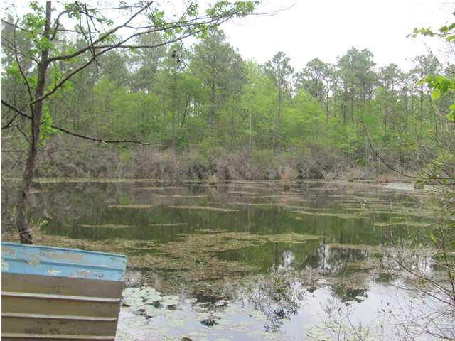 3556 Bob Sikes Road DeFuniak Springs, FL 32435 - Photo 5 of 9 Gallery Image 5