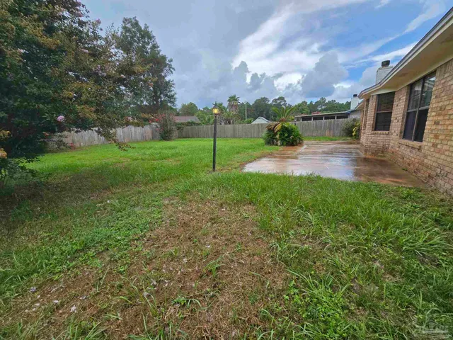 a view of a park with large trees