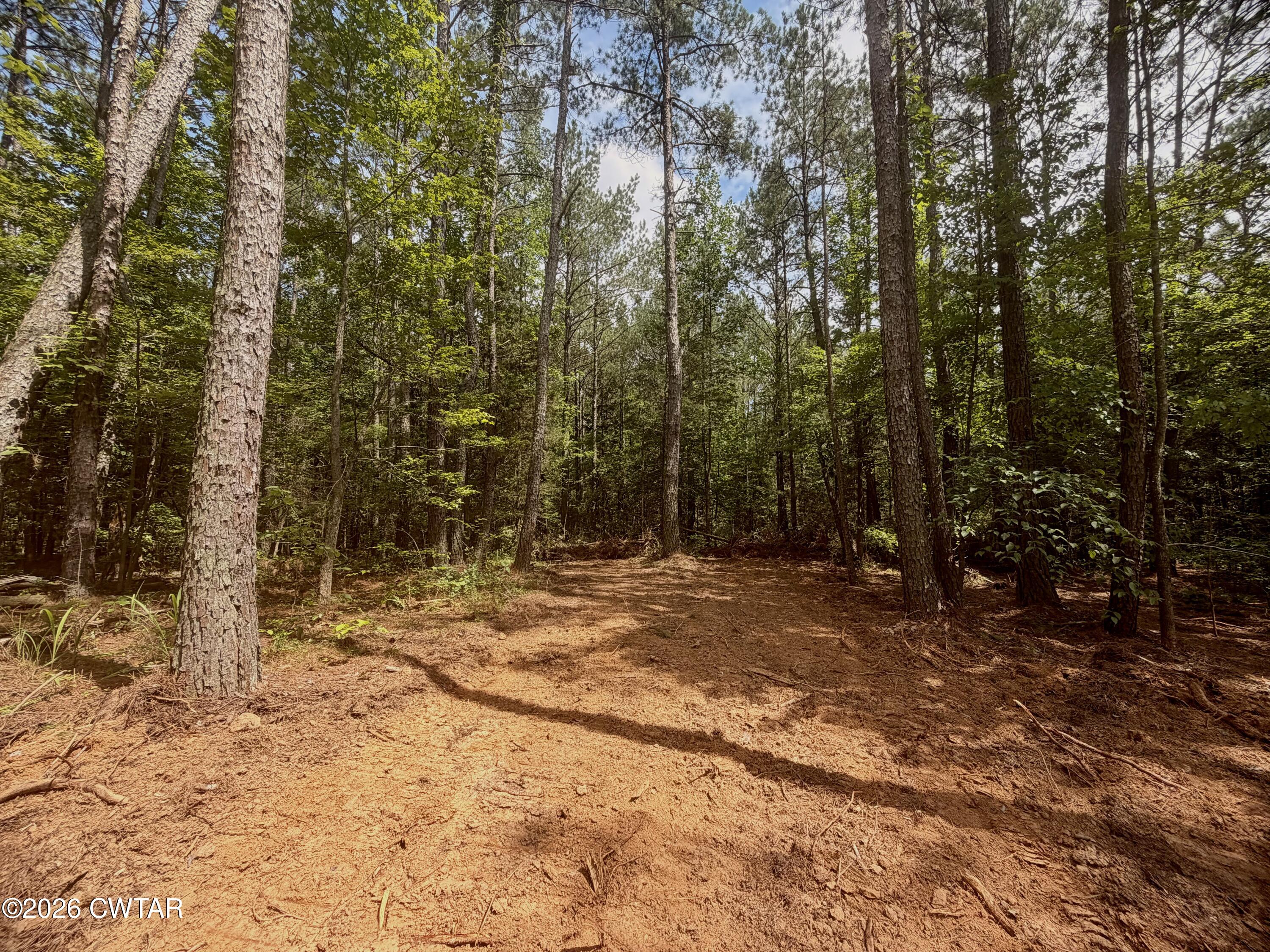 0 Old Lula Road Reagan, TN 38368 - Photo 6 of 18 IMG_4602