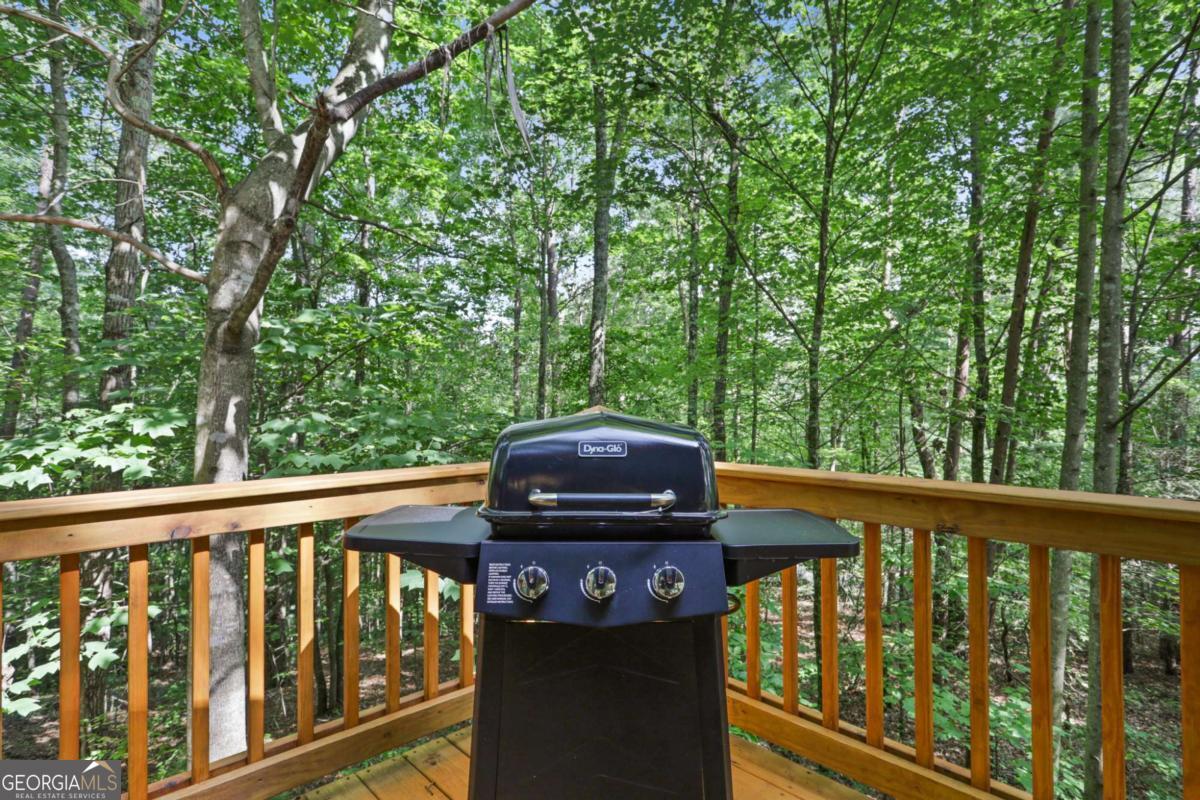 166 Nantahala Pass Road Blue Ridge, GA 30513 - Photo 36 of 42