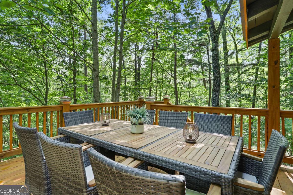 166 Nantahala Pass Road Blue Ridge, GA 30513 - Photo 39 of 42