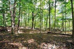 0 June Road Call Listing Agent, CT 06904 - Photo 1 of 1