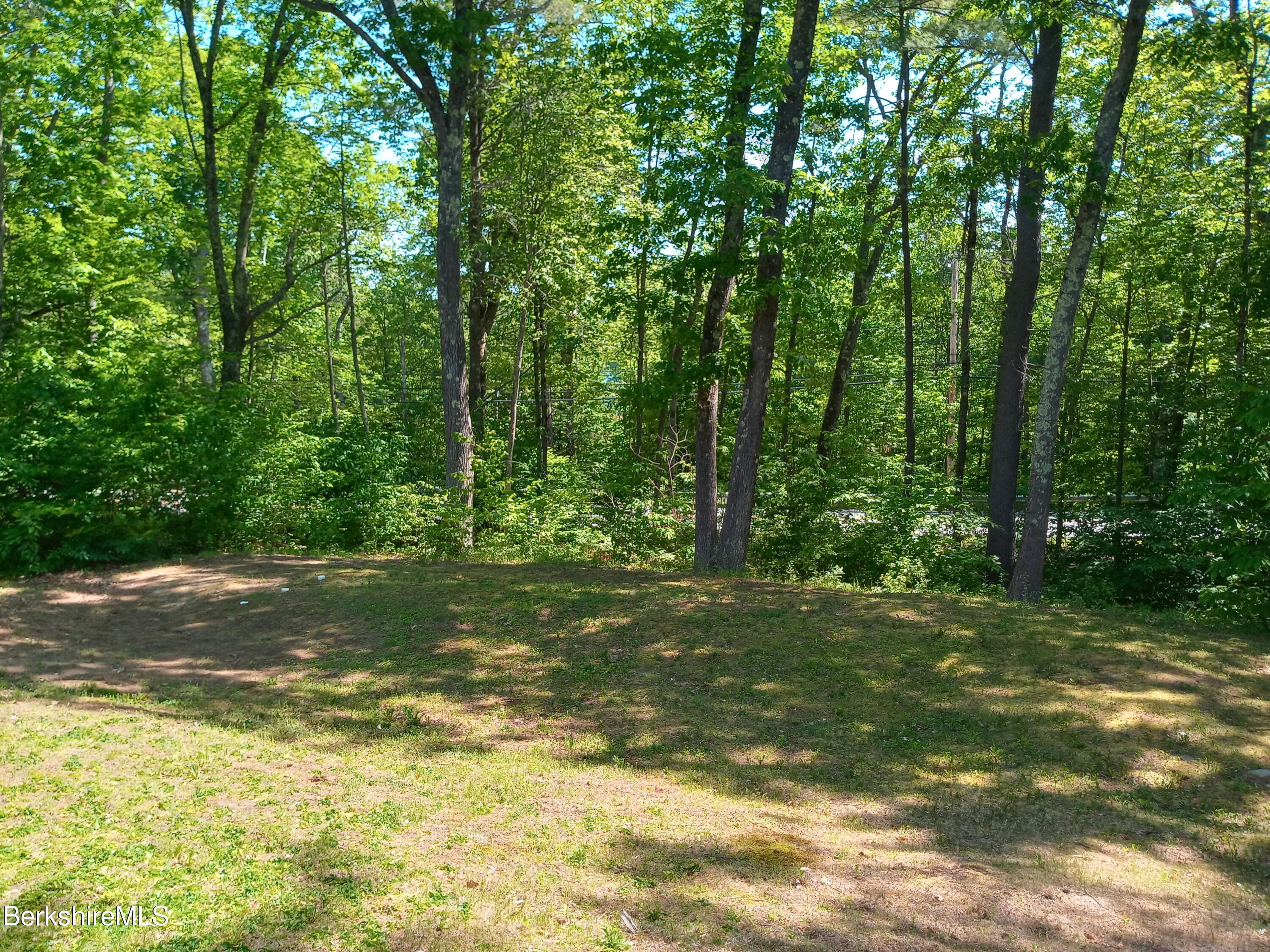 42 Norton Road Otis, MA 01029 - Photo 5 of 35 a view of a yard with a trees