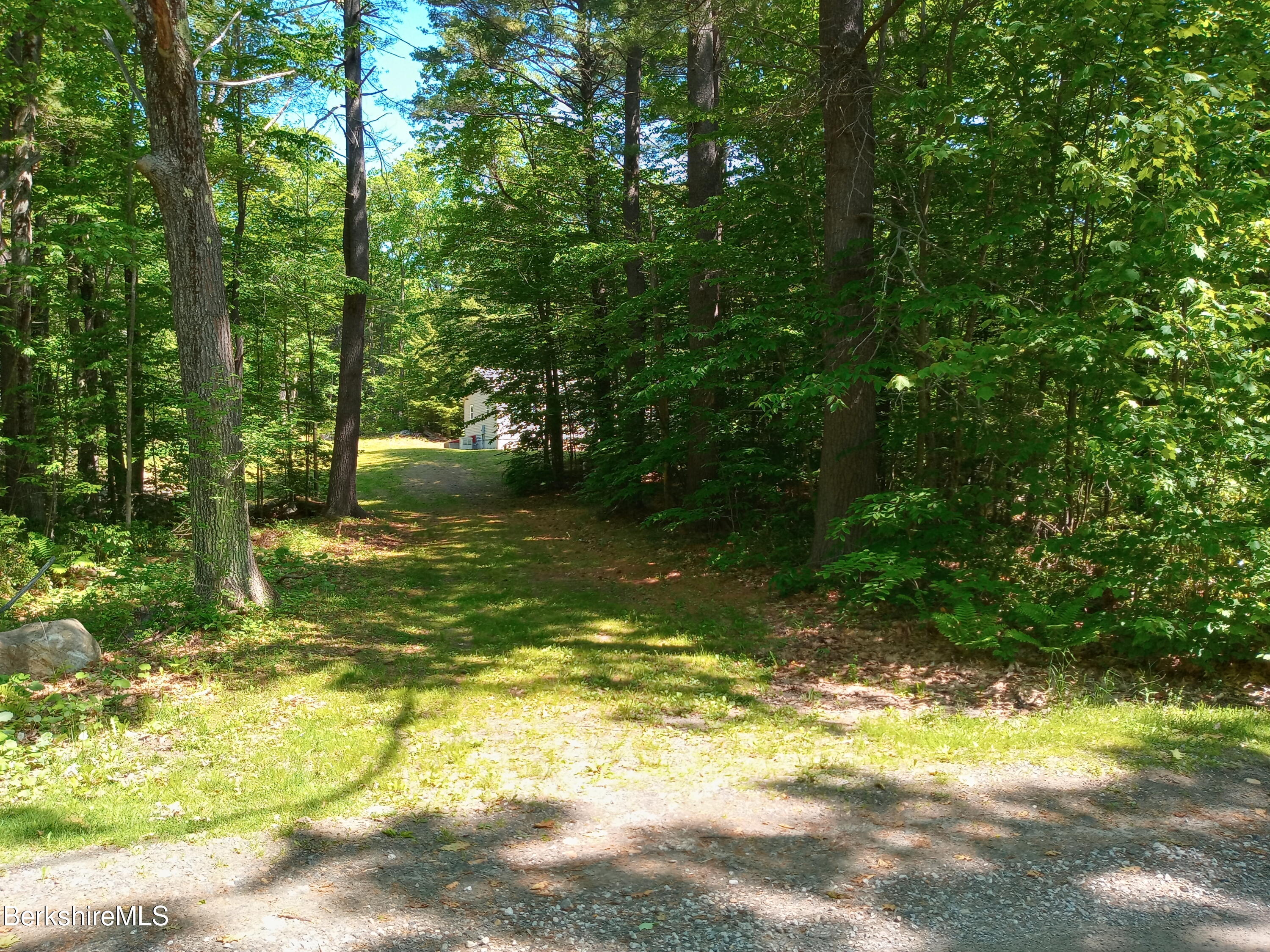 42 Norton Road Otis, MA 01029 - Photo 9 of 35 a view of a yard with swimming pool