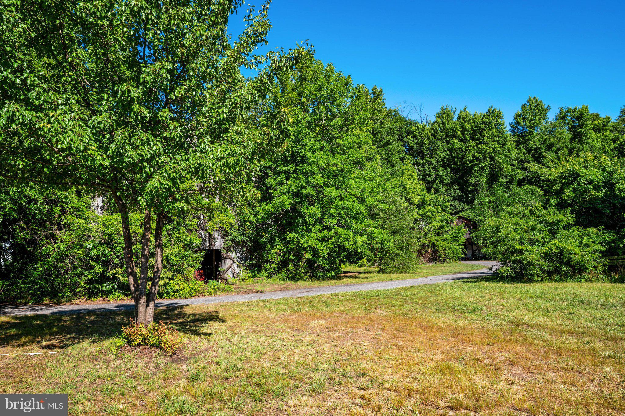 1524 Governor Bridge Road Davidsonville, MD 21035 - Photo 27 of 28 Views