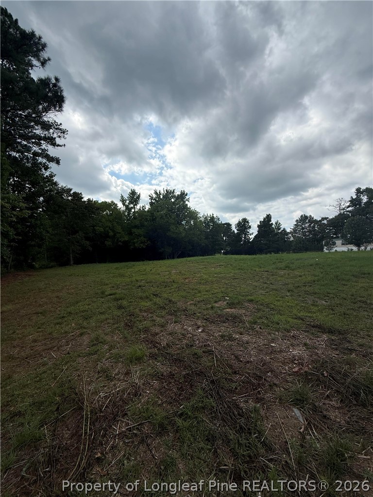 Carroll Store Road Autryville, NC 28318 - Photo 2 of 2