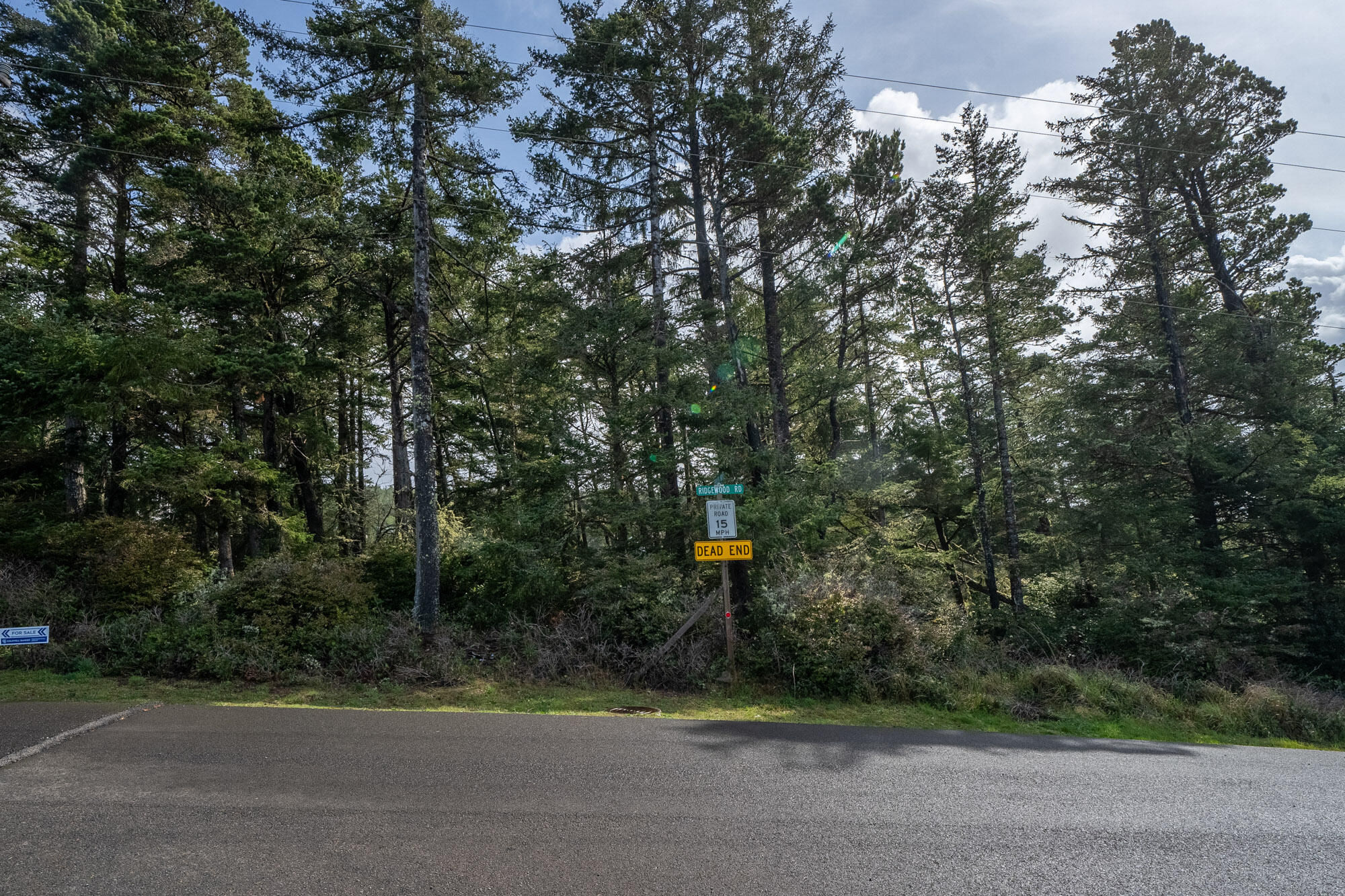 301 Ridgewood Road Tillamook, OR 97141 - Photo 5 of 11 Looking into lot