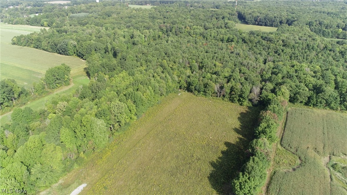 5200 Miller Road Youngstown, OH 44514 - Photo 3 of 6 Gallery Image 3
