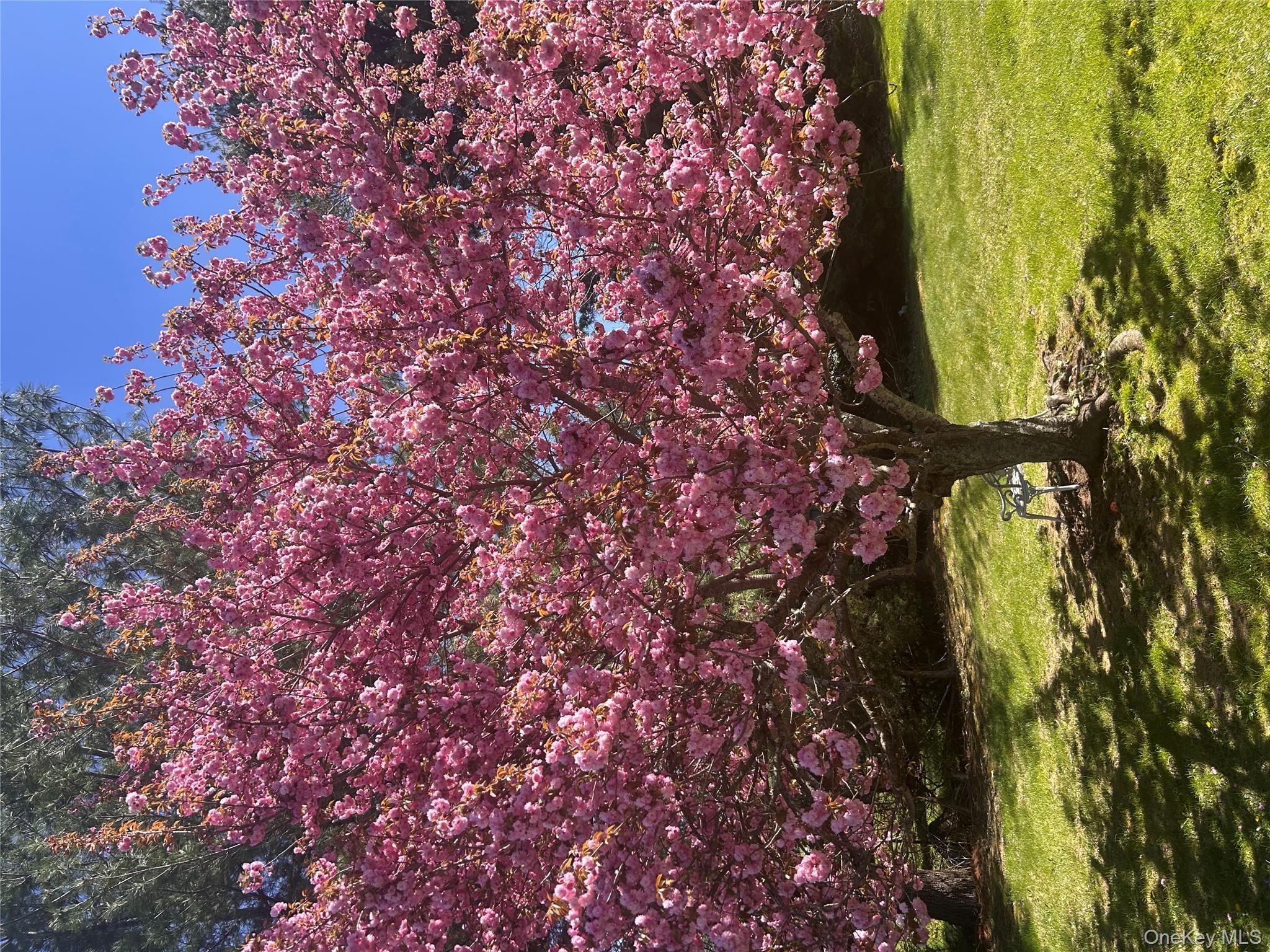 20 Lake Road Mahopac, NY 10541 - Photo 46 of 48