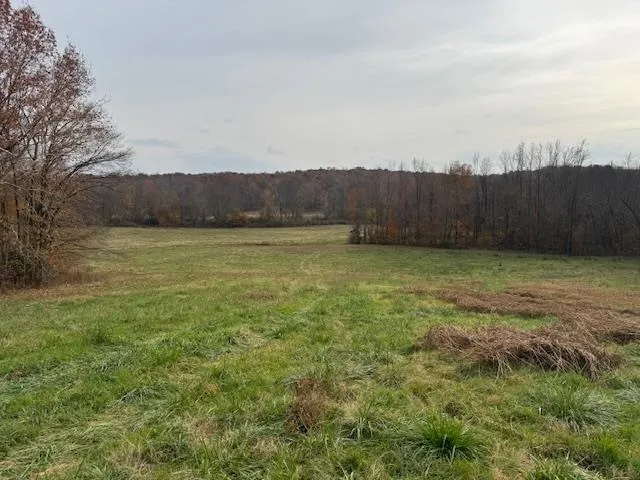 a view of a lush green field