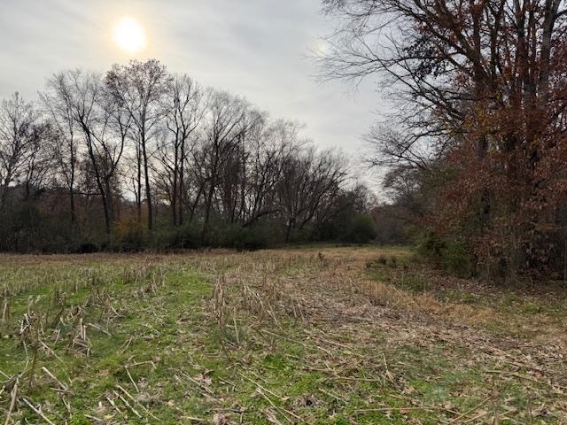 Keller Road Toone, TN 38381 - Photo 11 of 21 a view of backyard of house