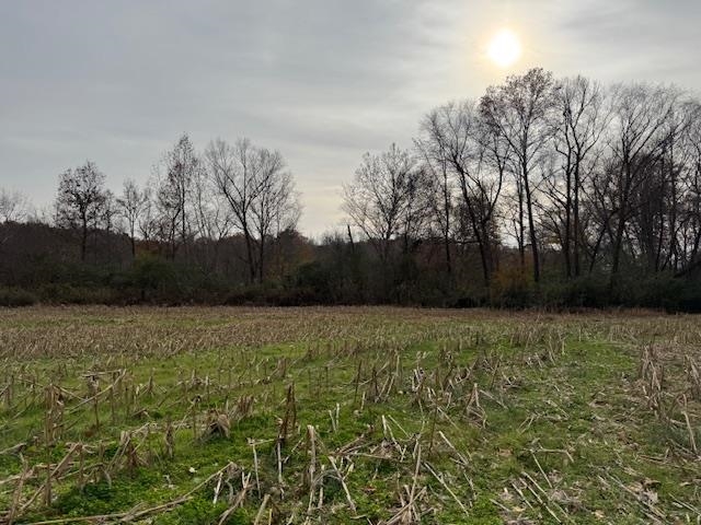 Keller Road Toone, TN 38381 - Photo 12 of 21 a street view with wooden fence