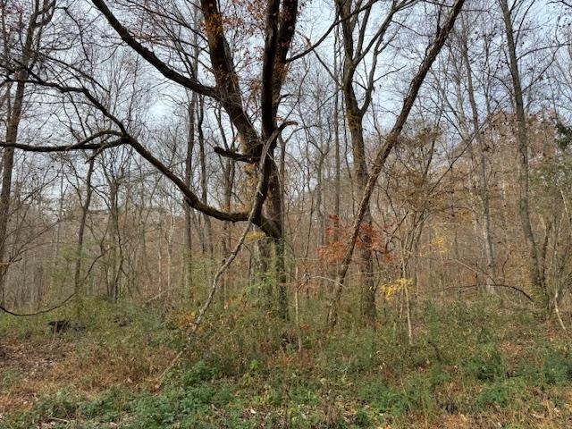 Keller Road Toone, TN 38381 - Photo 13 of 21 a view of a yard