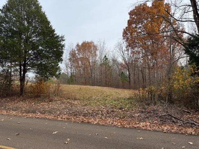 Keller Road Toone, TN 38381 - Photo 14 of 21 a view of a yard