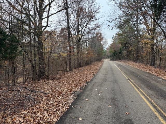 Keller Road Toone, TN 38381 - Photo 15 of 21 a view of a backyard with snow on the road
