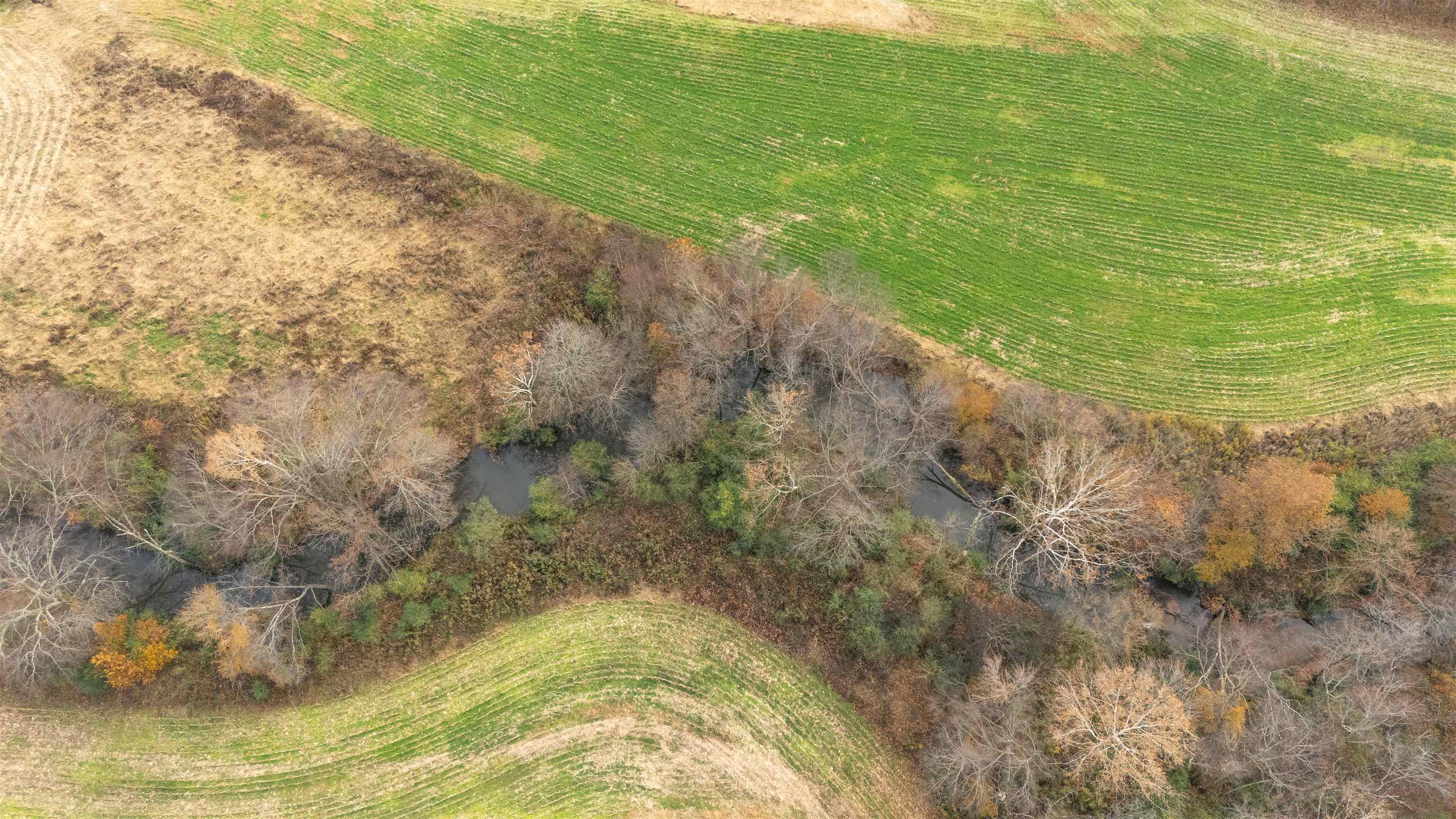 Keller Road Toone, TN 38381 - Photo 16 of 21 a view of a yard