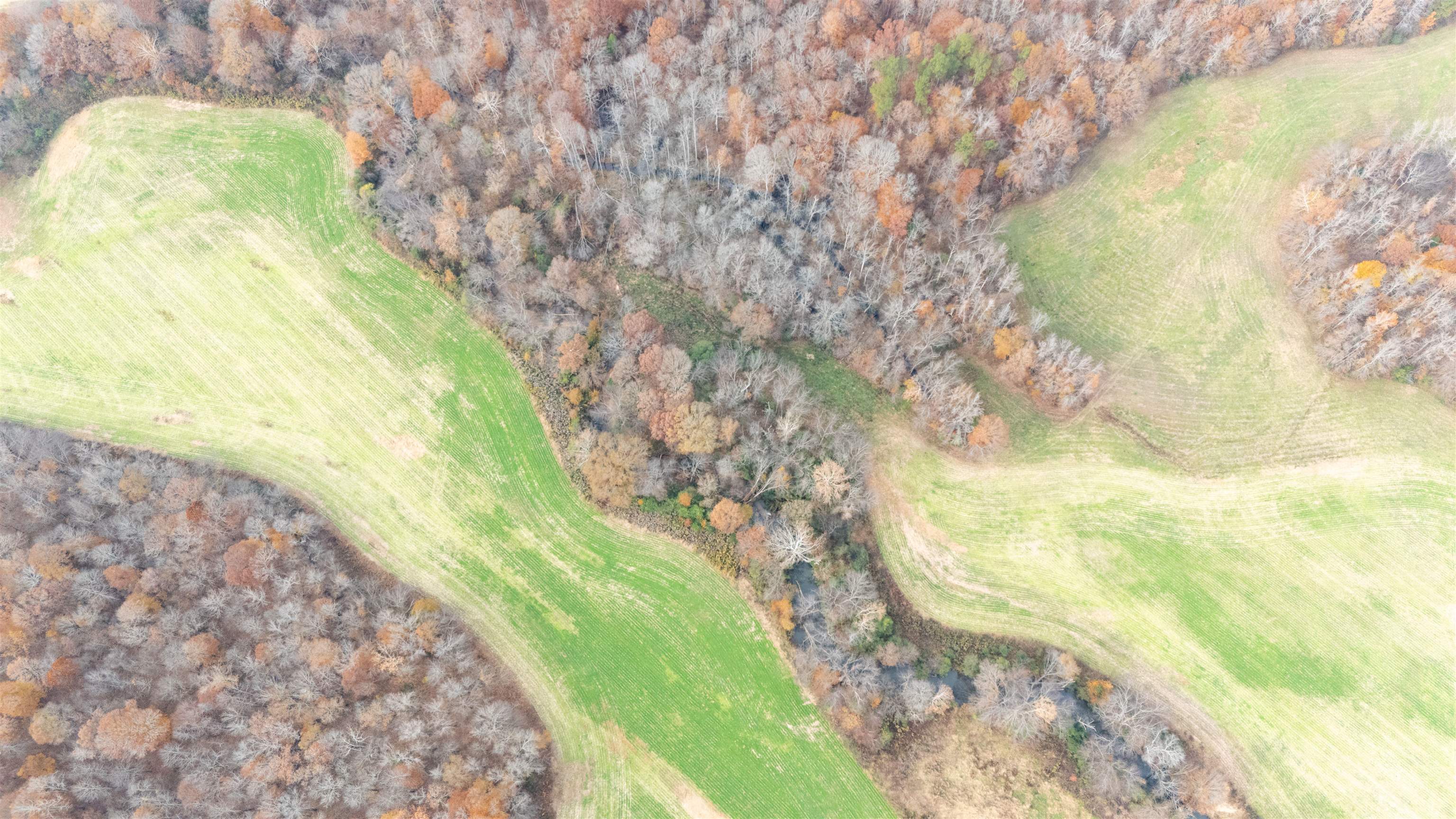 Keller Road Toone, TN 38381 - Photo 17 of 21 a view of swimming pool from a lake view
