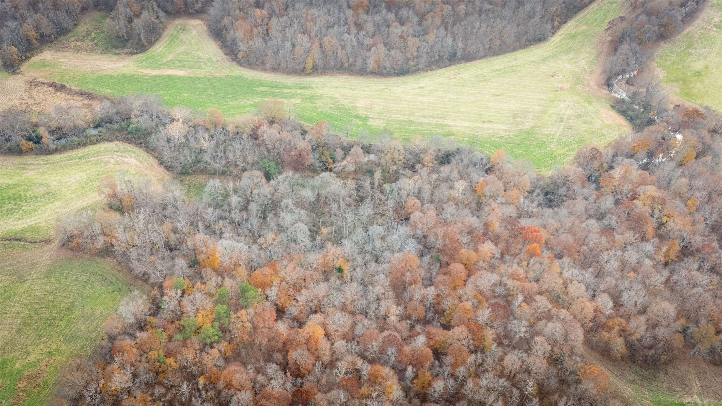 Keller Road Toone, TN 38381 - Photo 18 of 21 a view of a yard