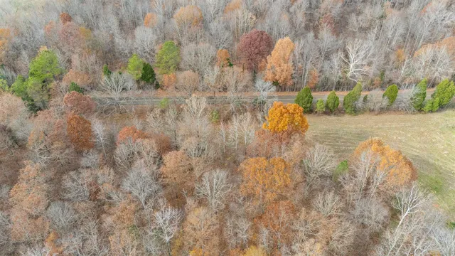 a view of swimming pool with a yard
