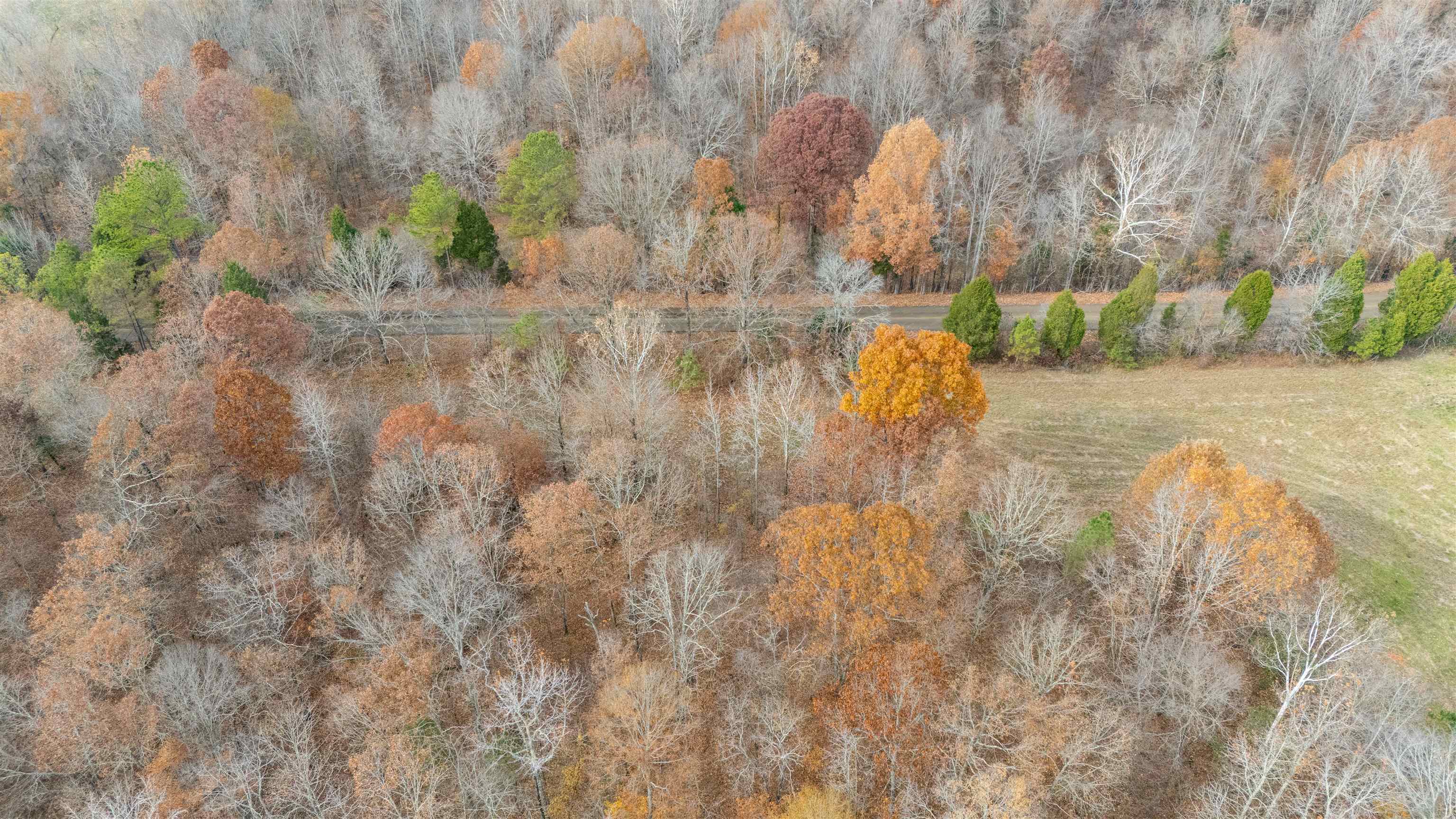 Keller Road Toone, TN 38381 - Photo 20 of 21 a view of swimming pool with a yard