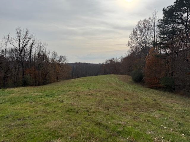 Keller Road Toone, TN 38381 - Photo 2 of 21 a view of a yard
