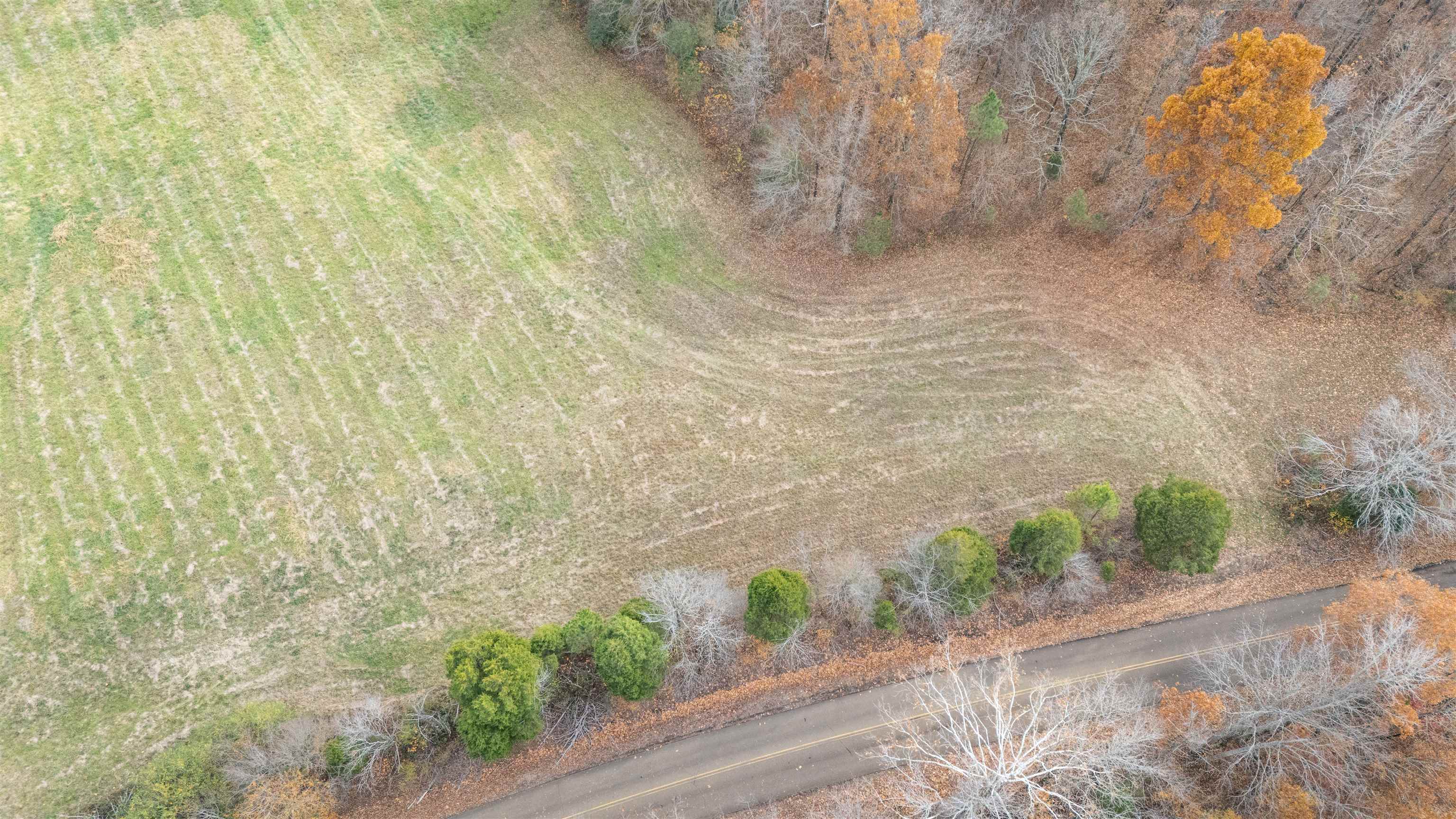 Keller Road Toone, TN 38381 - Photo 21 of 21 a bathroom with a shower