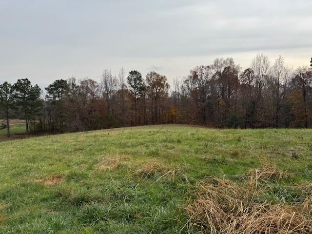 Keller Road Toone, TN 38381 - Photo 4 of 21 a view of a yard