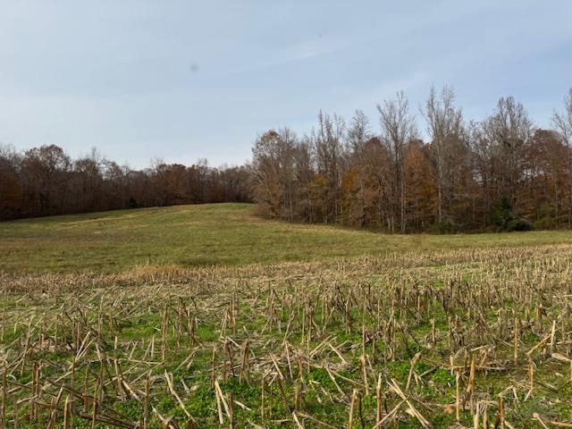 Keller Road Toone, TN 38381 - Photo 5 of 21 a view of a field with an ocean