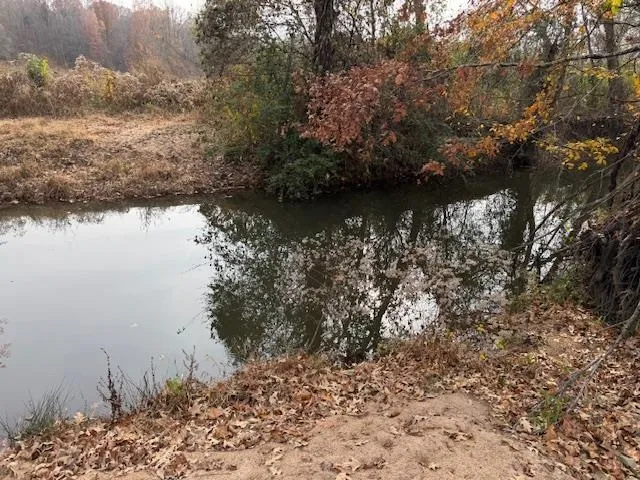 a view of lake with green space