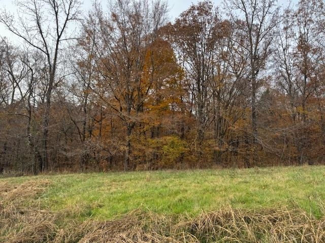 Keller Road Toone, TN 38381 - Photo 8 of 21 a view of outdoor space and yard