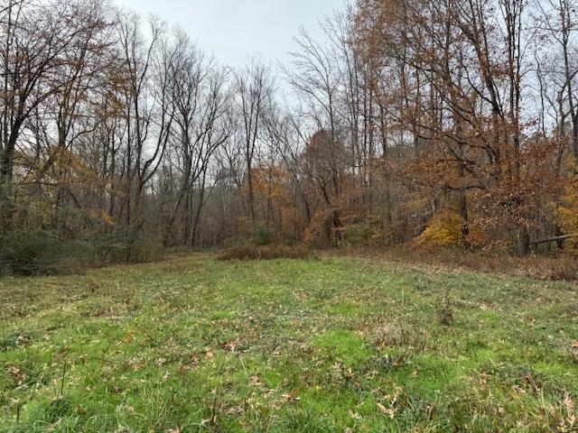 Keller Road Toone, TN 38381 - Photo 9 of 21 a view of backyard with green space