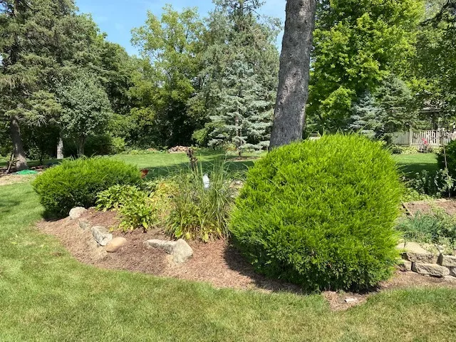 a view of a garden with a tree