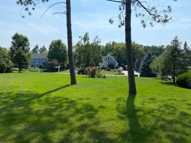 a view of a park with tree s