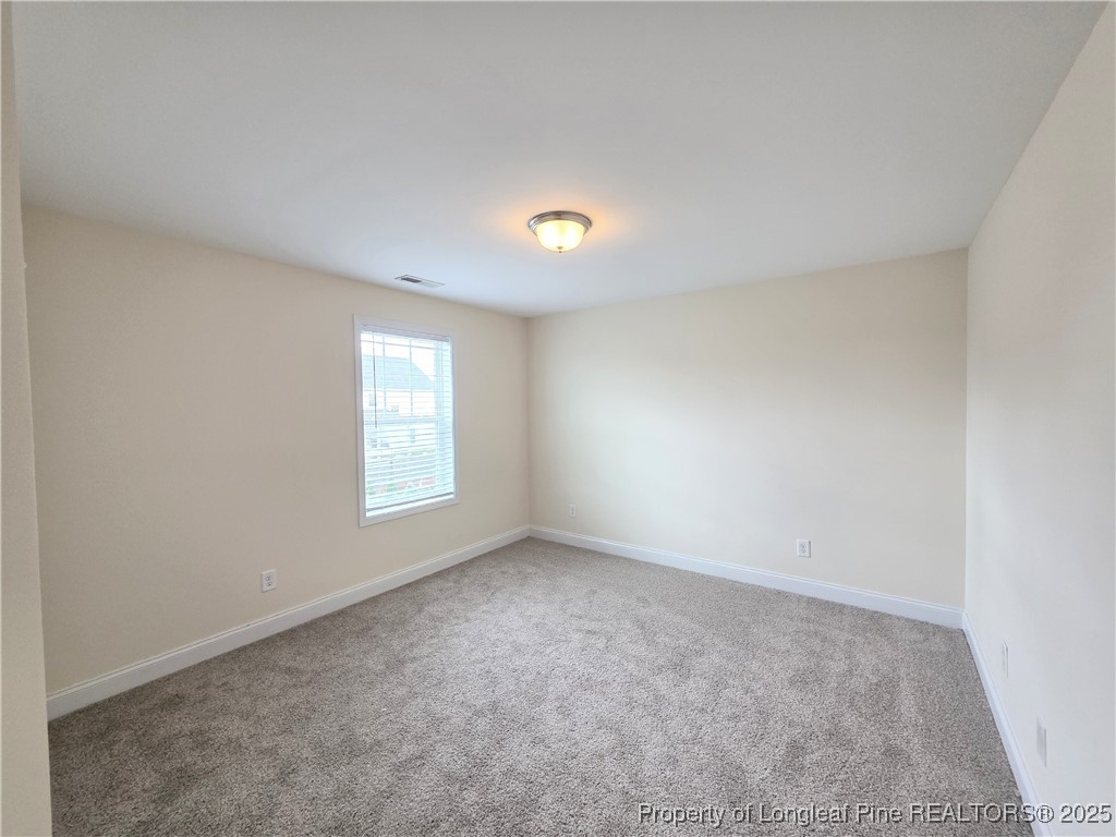 173 Weston Woods Street Raeford, NC 28376 - Photo 17 of 30