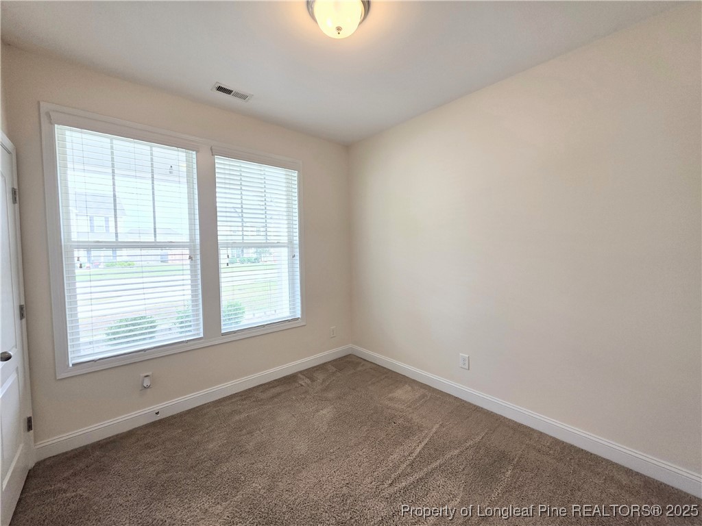 173 Weston Woods Street Raeford, NC 28376 - Photo 3 of 30