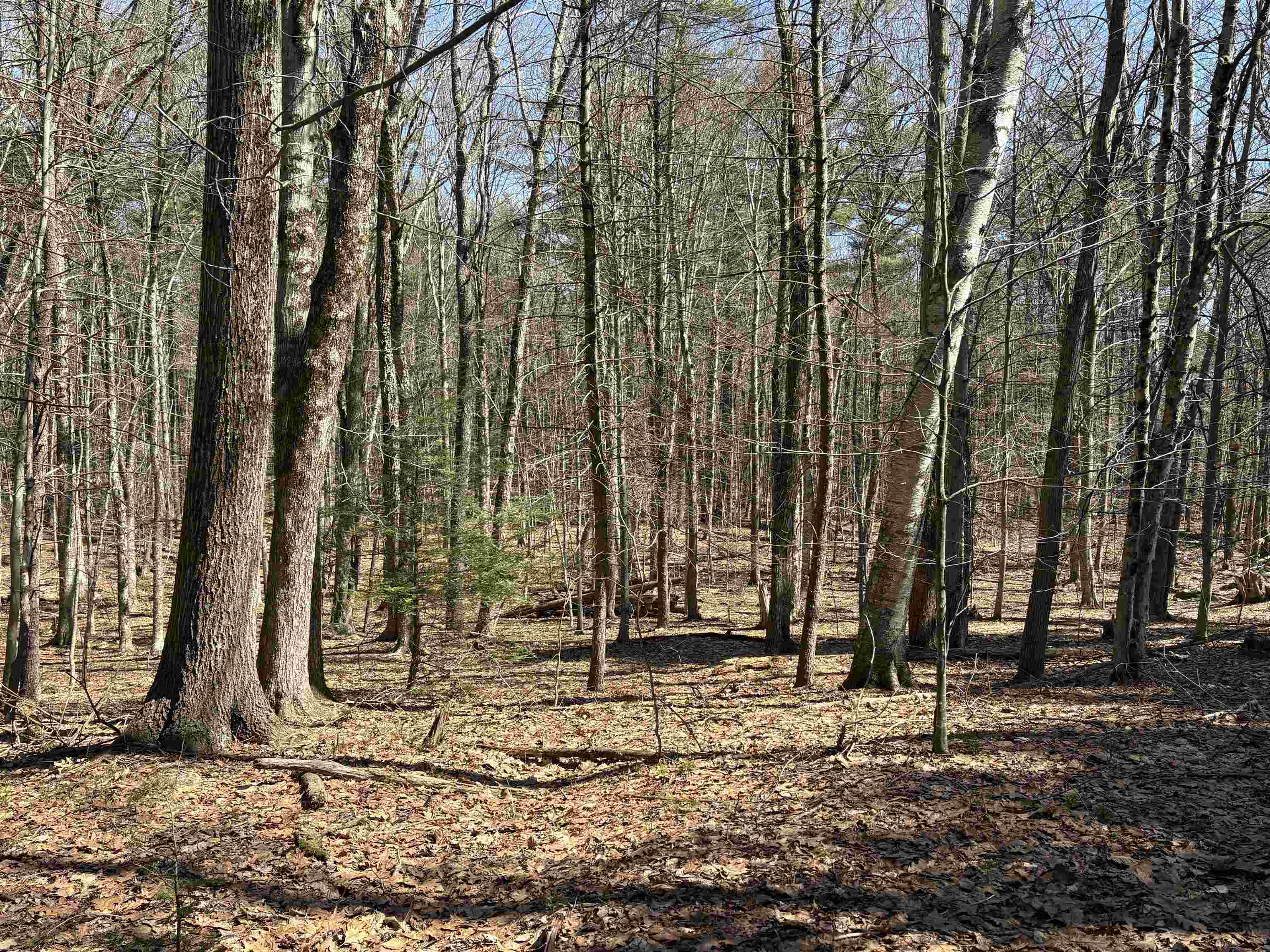 79-1 Currier Road Candia, NH 03034 - Photo 25 of 33