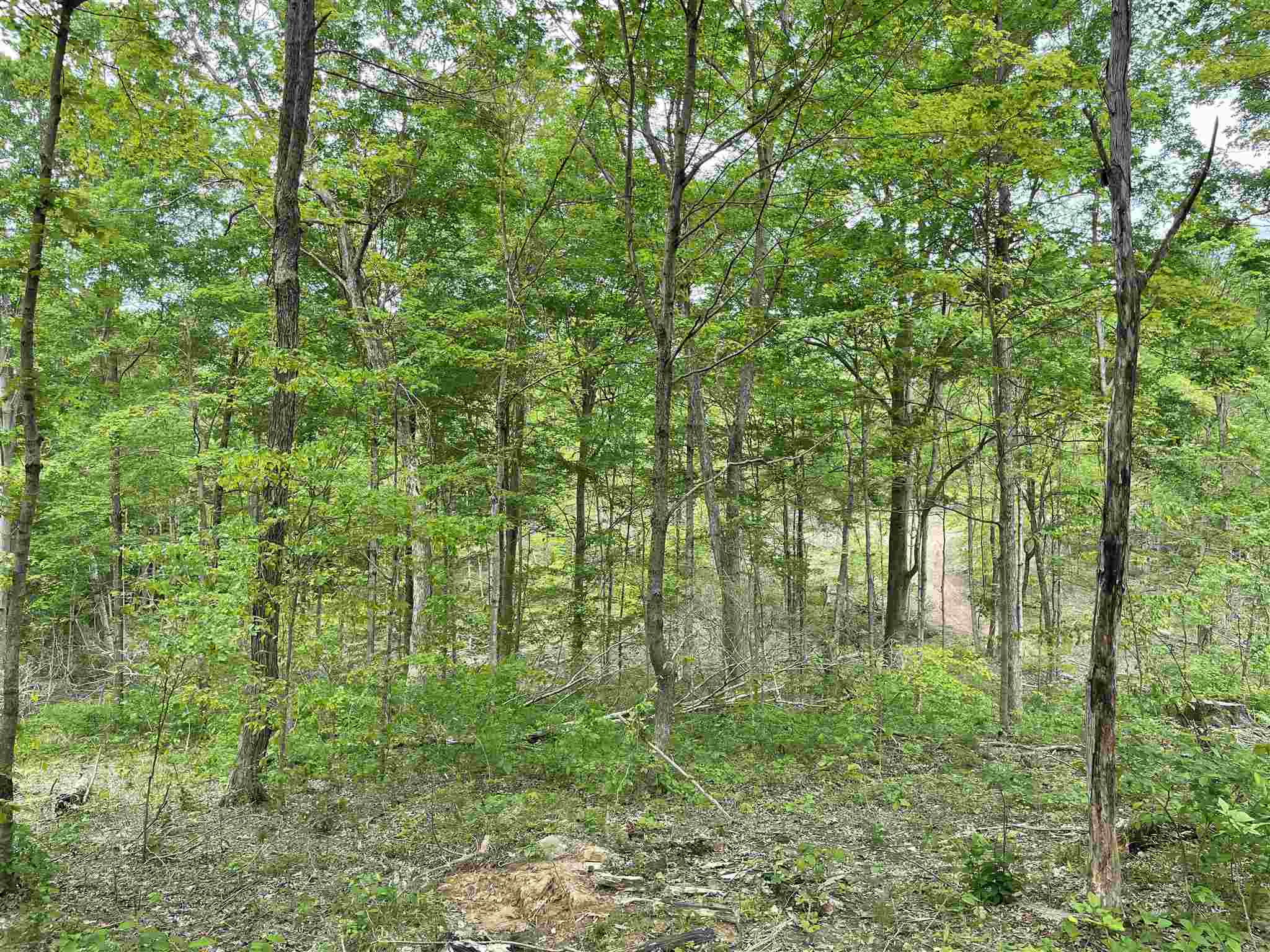 0 South Co Road Paoli, IN 47454 - Photo 11 of 23